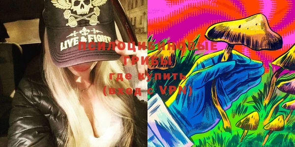 гашик Верхний Тагил